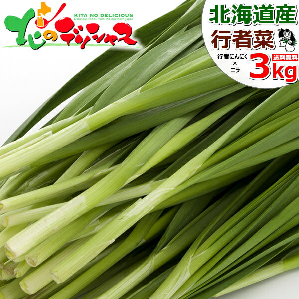 【出荷中/お届け日指定不可】北海道産 網走 行者菜 3kg(100g×30束入り) 野菜 網走市産 特産品 行者ニンニク×ニラ オホーツク行者菜研究会 滋養強壮 スタミナ抜群 硫化アリル 季節限定 人気 北海道 送料無料 お取り寄せグルメ