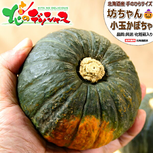 【出荷中】北海道産 坊ちゃんかぼちゃ(JA共選/1玉 約300g) 野菜 秋野菜 カボチャ 南瓜 坊ちゃん 坊ちゃん南瓜 パンプキン ハロウィン HALLOWEEN ギフト 贈り物 プレゼント 自宅用 家庭用 おうちグルメ 人気 食品 グルメ 北海道 送料無料 お取り寄せグルメ