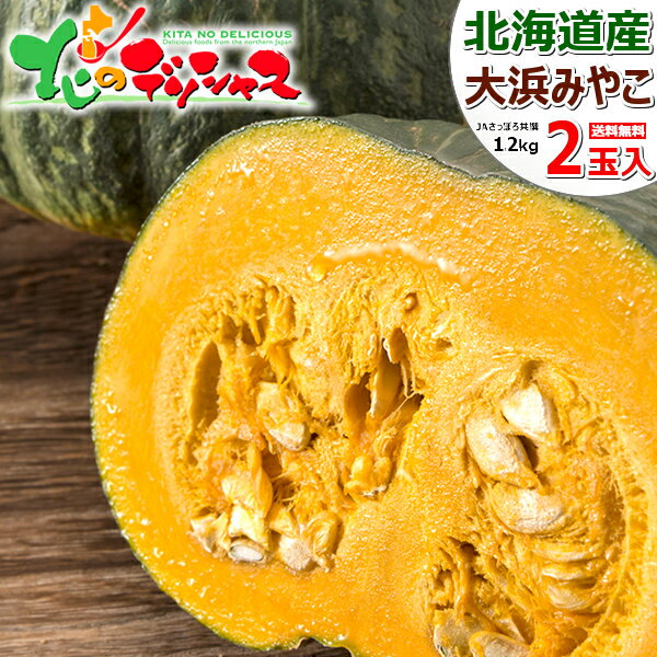 【予約】北海道産 かぼちゃ 大浜みやこ 2玉入り (1玉 1.2kg) 野菜 秋野菜 札幌 手稲 山口 大浜みやこかぼちゃ 大浜 みやこ カボチャ 南瓜 JAさっぽろ ギフト 贈り物 プレゼント 自宅用 家庭用 おうちグルメ 人気 食品 グルメ 北海道 送料無料 お取り寄せグルメ