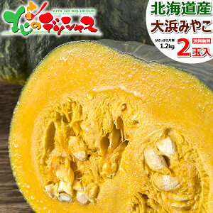【出荷中】北海道産 かぼちゃ 大浜みやこ 2玉入り (1玉 1.2kg) 野菜 秋野菜 札幌 大浜 みやこ カボチャ 南瓜 ギフト 贈り物 プレゼント 自宅用 家庭用 おうちグルメ 人気 食品 グルメ 北海道 送料無料 お取り寄せグルメ