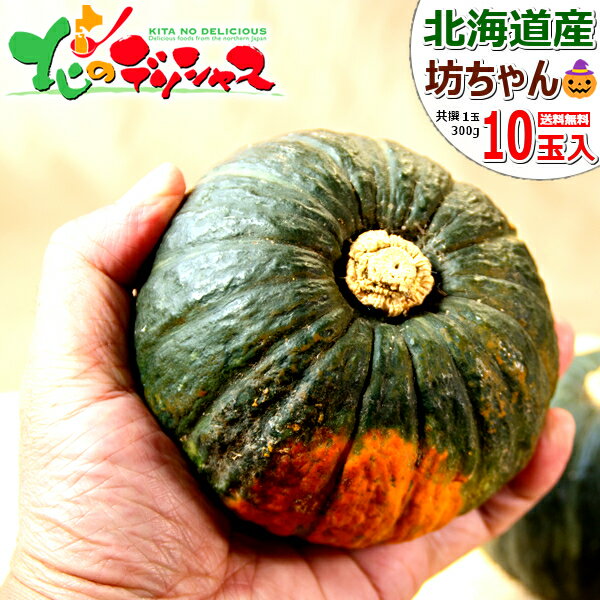 【出荷中】北海道産 坊ちゃんかぼちゃ 10玉入り (1玉 300g) 野菜 秋野菜 カボチャ 南瓜 坊ちゃん 坊ちゃん南瓜 パンプキン ハロウィン HALLOWEEN ギフト 贈り物 プレゼント 自宅用 家庭用 おうちグルメ 人気 食品 グルメ 北海道 送料無料 お取り寄せグルメ