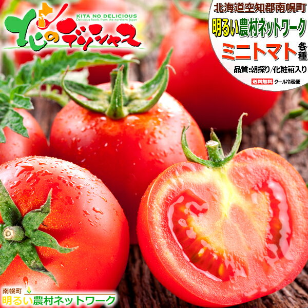 【出荷間近】北海道産 南幌町 ミニトマト南幌町明るい農村ネットワーク 野菜 トマト プチトマト アイコ ラブリー藍 1kg 2kg 3kg 朝採り 新鮮 生食 甘い 残暑見舞い ギフト 贈り物 プレゼント 自宅用 家庭用 おうち用 北海道 グルメ 産地直送 送料無料 お取り寄せのサムネイル
