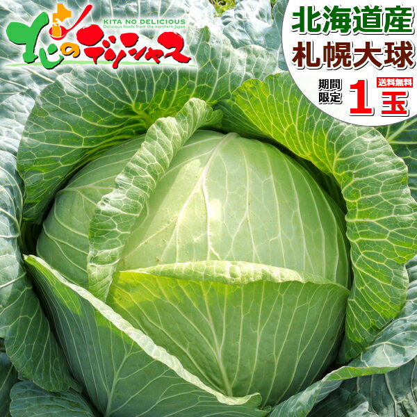 楽天市場】キャベツ(総重量(野菜)10.0 ~ 10.9kg)(野菜 楽天市場】キャベツ(総重量(野菜)10.0 ~ 10.9kg)(野菜