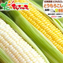 【予約】北海道産 とうもろこし 選べる品種 (味来orゴールドラッシュorホワイトショコラ)朝採り 甘い 生食 トウモロコシ スイートコーン とうきび 残暑見舞い ギフト 贈り物 お祝い お礼 お返し プレゼント 自宅用 家庭用 北海道 グルメ 送料無料 お取り寄せ