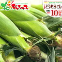 【今季もう少しだけ販売】生産者さん応援!北海道産 南幌町 ご家庭用 とうもろこし 10本入り (訳あり/混合/クール冷蔵便) 旬食 南幌町明るい農村ネットワーク 朝採り 激甘 トウモロコシ とうきび ご自宅用 ご家庭用 北海道 野菜 グルメ 産地直送 送料無料 お取り寄せ