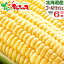 【出荷中】北海道産 とうもろこし ゴールドラッシュ (6本) 黄 生 甘い スイートコーン フルーツコーン トウモロコシ とうきび トウキビ 北海道ギフト 人気 ギフト 贈り物 贈答 プレゼント 贈り物 北海道 グルメ 送料無料 お取り寄せ
