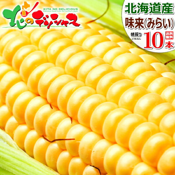 【楽天スーパーSALE 10％OFF】【予約/8月中旬〜】北海道産 とうもろこし 味来 (10本) 黄 生 甘い コーン スイートコーン フルーツコーン トウモロコシ とうきび トウキビ 北海道ギフト ギフト 贈り物 プレゼント 人気 北海道 グルメ 送料無料 お取り寄せ