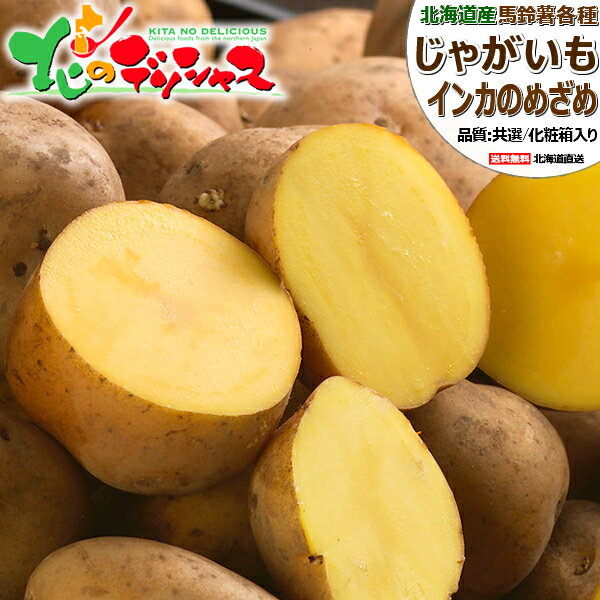 【出荷中】北海道産 新じゃが じゃがいも インカのめざめ (JA共撰/M-LMサイズ/冷蔵便) 秋野菜 野菜 インカ インカの目覚め ジャガイモ 馬鈴薯 越冬 3kg 5kg 10kg ギフト 贈り物 お祝い 内祝い ご家庭用 北海道 食品 グルメ 北海道直送 送料無料 お取り寄せ