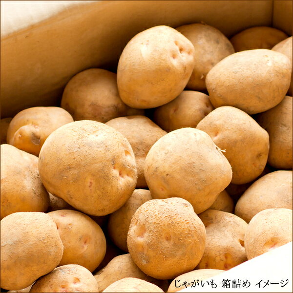 じゃがいもの芽の毒素とは 毒の危険性や食べるときの皮むき 芽の取り方を解説 暮らし の