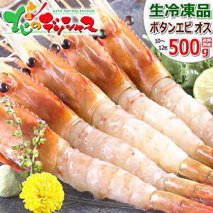 エビ ボタンエビ 500g (BL/オス/10-12尾入り/生冷凍) 特大 えび 海老 ぼたんえび 牡丹えび 生冷 お刺身 刺身用 ギフト 贈り物 お祝い お礼 お返し プレゼント お歳暮 冬ギフト 年越し お正月 自宅用 おうち用 同梱 まとめ買い グルメ 北海道 お取り寄せ