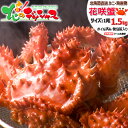 北海道 カニ ロシア産 花咲ガニ (姿/オス/1尾 約1.5kg/ボイル済み/冷凍便) 北海道 海鮮 ボイル 花咲 花咲がに 花咲ガニ 花咲蟹 ボイル 1尾 2尾 3尾 ギフト 贈り物 お祝い プレゼント 年越し 年末年始 お正月 のし ご家庭用 グルメ お取り寄せ