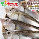 【予約】 北海道産 生ハタハタ 1箱 3kg (オス&メス子無し混みorメス子持ち/冷蔵便) 生 冬の味覚 はたはた ハタハタ 鰰 ぶりこ ブリコ 卵 塩焼き 煮つけ しょっつる鍋 飯寿司 ギフト 贈り物 自宅用 ご家庭用 北海道 グルメ 送料無料 お取り寄せ
