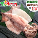 干物 北海道産 いか魚醤干し 1枚 (開き/1枚 150g/ピチ...