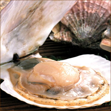 ホタテ 北海道産 殻付き ホタテ&カキセット (帆立/1枚 約170〜190g×5枚・牡蠣/1個 約110g〜130g×5個/冷蔵品) 活 生 殻付き帆立 殻付き牡蠣 グルメ 北海道 送料無料 お取り寄せ