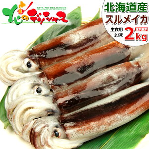イカ 日本海産 スルメイカ 2kg (生食用/6-7杯入り/船凍品) 国産 真イカ 真いか するめいか 生 生冷 刺身 塩辛 BBQ お中元 ギフト 贈り物 プレゼント 自宅用 家庭用 おうちでグルメ 人気 売れ筋 グルメ 北海道 送料無料 お取り寄せ