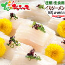 北海道 イカ 北海道産 スルメイカ イカソーメン (1P 8冊入り/花折造り/生食用/冷凍便) イカそうめん いかソーメン ギフト 贈り物 お祝い お礼 お返し...