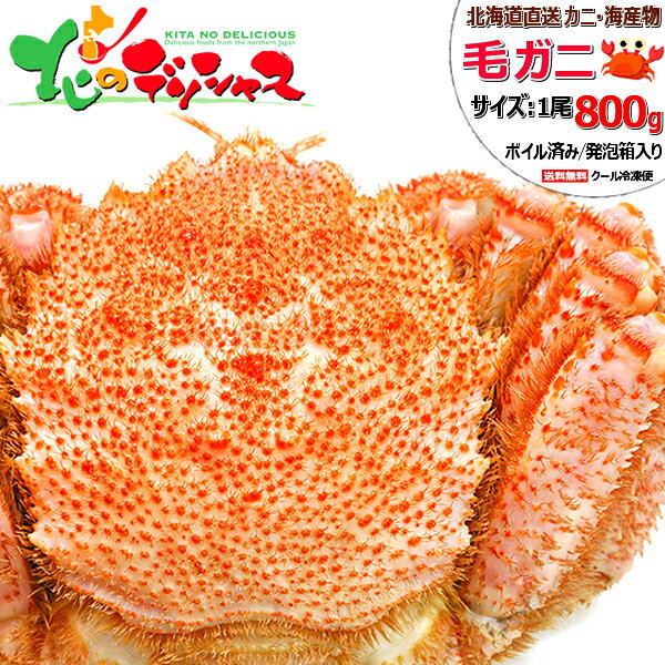 ̳ƻ Ķ祫 ӥ (/800g/ܥѤ/) 建  Ӥ ӥ ӳ  Ӥ ӥ ܥ 1 2 3 ...