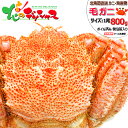 北海道産 超特大カニ 毛ガニ (姿/約800g/ボイル済み/冷凍品) 水産 海鮮 毛がに 毛ガニ 毛蟹 姿 毛がに通販 毛ガニ通販 ボイル 1杯 2杯 3杯 カ...