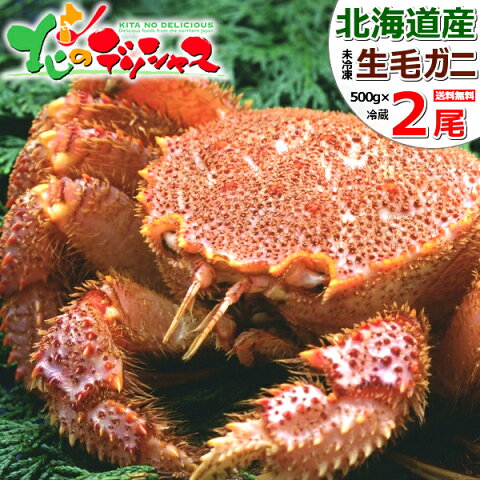 北海道グルメ 北海道直送 送料無料 カニ 北海道産 活毛ガニ (1尾 約500g×2尾/冷蔵品) 航空便 未冷凍 生毛がに 生毛ガニ 生毛蟹 毛がに 毛ガニ 毛蟹 カニ 蟹 堅蟹 かにみそ グルメ 人気 ギフト 贈り物 贈答 プレゼント 北海道 お取り寄せ