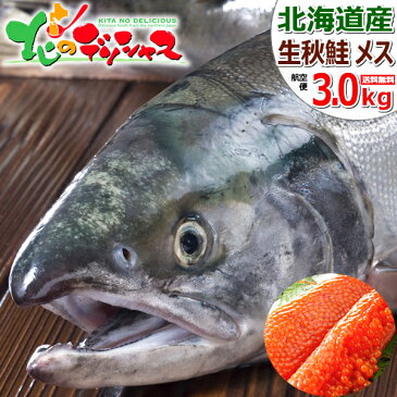 【好評出荷中】北海道産 生秋鮭 3.0kg (メス/筋子付き/冷蔵品/航空便) 生 秋の味覚 さけ サケ しゃけ シャケ 秋サケ 秋シャケ シロサケ アキサケ アキアジ 鍋 鮭鍋 石狩鍋 いくら イクラ グルメ 人気 ギフト 贈り物 贈答 プレゼント 北海道 送料込み お取り寄せ