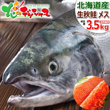 【好評出荷中】北海道産 生秋鮭 3.5kg (メス/筋子付き/冷蔵品/航空便) 生 秋の味覚 さけ サケ しゃけ シャケ 秋サケ 秋シャケ シロサケ アキサケ アキアジ 鍋 鮭鍋 石狩鍋 いくら イクラ グルメ 人気 ギフト 贈り物 贈答 プレゼント 北海道 送料込み お取り寄せ