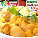 【出荷中】 父の日 北海道産 キタムラサキウニ 100g (冷蔵品) 新鮮 生 無添加 うに ウニ 海胆 生ウニ 塩水うに 塩水ウニ ムラサキウニ 蝦夷ムラサキ...