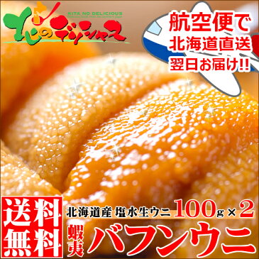 生ウニ 北海道産 エゾバフンウニ (100g×2/冷蔵品) 航空便 生 無添加 塩水うに 塩水ウニ 生うに 赤 ウニ バフンウニ 蝦夷バフンウニ グルメ 北海道 送料無料 お取り寄せ