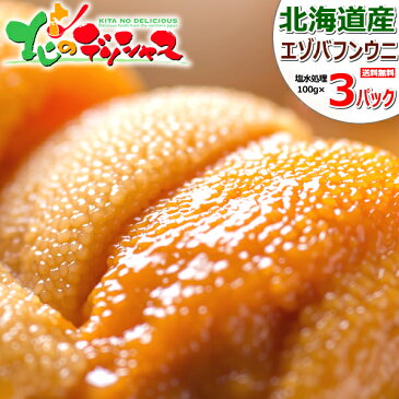 お中元 ギフト プレゼント 生ウニ 北海道産 エゾバフンウニ 300g(100g×3P/冷蔵品) 航空便 生 無添加 塩水うに 塩水ウニ 生うに 赤 ウニ バフンウニ 蝦夷バフンウニ グルメ 人気 ギフト 贈り物 贈答 プレゼント 北海道 送料無料 お取り寄せ