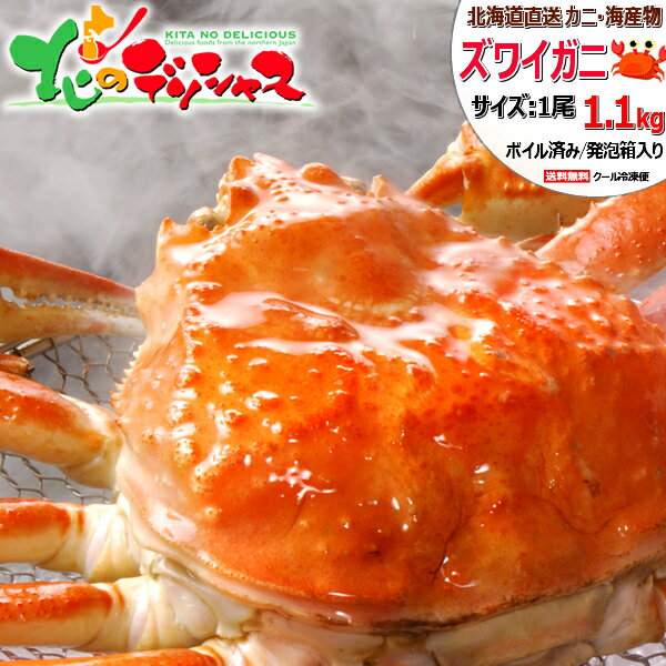 ̳ƻ  Ķ 磻 (/1100g/ܥѤ/) 建  磻 磻 磻  磻˻ 磻 ܥ...