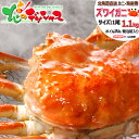 北海道 カニ 超特大 ズワイガニ (姿/約1100g/ボイル済み/冷凍品) 水産 海鮮 ズワイ ズワイガニ ズワイ蟹 姿 ズワイガニ姿通販 ズワイガニ通販 ボイ...