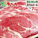 ラム肉 ジンギスカン ラムロール 7kg (ショルダー/スライス/500g×14袋/冷凍品) 自宅用 人気 ロール肉 ラムロール肉 ラムスライス じんぎすかん ラム 肉 羊肉 BBQ 焼肉 グルメ 北海道 お取り寄せ