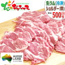 ラム肉 生ラム ジンギスカン 500g (ショルダー/スライス/手切り/冷凍品) 同梱 自宅用 人気 じんぎすかん ラム 肉 羊肉 BBQ 焼肉 グルメ 北海道 お取り寄せ