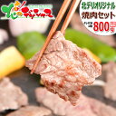 北海道 焼肉セット 800g (たれ付き/冷凍品) 焼き肉 肉 牛肉 鶏肉 豚肉 カルビ サガリ 鶏モモ 豚バラ 盛り合わせ ギフト 贈り物 お祝い お礼 お返し プレゼント 自宅用 おうち用 BBQ バーベキュー 北海道 食べ物 グルメ 送料無料 肉の山本 お取り寄せ