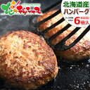 北海道産 ハンバーグ 6個セット (ソース付き/冷凍品) 惣菜 洋食 ハンバーグ ソース 肉 牛肉 豚肉 羊肉 ギフト 贈り物 贈答 お祝い お礼 お返し プレゼント 自宅用 おうち用 セット 北海道 高級 グルメ 送料無料 肉の山本 お取り寄せ