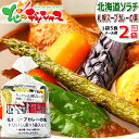 【メール便】 北海道のたれ屋 ソラチ 札幌スープカレーの素 10人前 (1人前 5袋入り×2袋入り) 北海道スープカレー 札幌スープカレー スープカレー 辛味の...