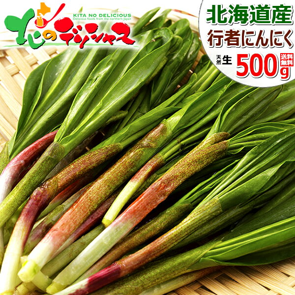楽天市場】行者にんにく(総重量(野菜)500 ~ 999g)の通販 楽天市場】行者にんにく(総重量(野菜)500 ~ 999g)の通販