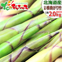 【出荷間近】山菜 北海道産 天然 根曲がり竹 2kg 春の味覚 たけのこ タケノコ 天然竹の子 天然根がまり竹 チシマザサ 千島笹 姫竹 食品 グルメ 北海道 応援 送料込み 送料無料 お取り寄せグルメ