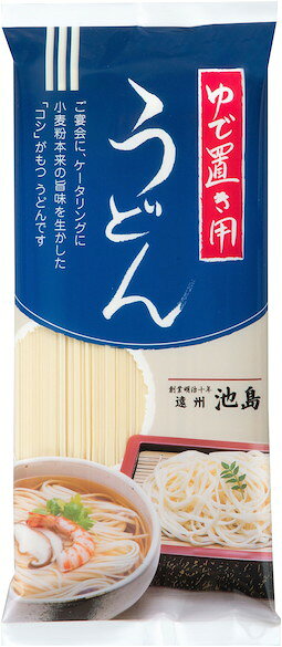 222818　池島フーズ　うどん　400g g-k-s-10000339 ジーケーエス パッケージ画像