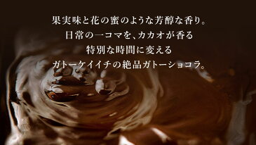 オーガニックショコラを贅沢に使った濃厚 ガトーショコラ !!【お中元/御中元/帰省/お土産/ギフト/贈り物/プレゼント/チョコレート/テリーヌ/高級/スイーツ/ご褒美/誕生日/挨拶/お返し/引越し/グルテンフリー】