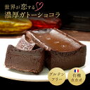 チョコレートケーキ [グランプリ受賞] 濃厚 ガトーショコラ テリーヌ 母の日 こどもの日 グルテンフリー オーガニック チョコケーキ チョコレート 誕生日 ショコラ ギフト 贈り物 プレゼント 高級 チョコテリーヌ チョコ ケーキ カカオ ご褒美 スイーツ お取り寄せ 人気 おいしい お祝い 手土産