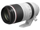 Canon RF100-500mm F4.5-7.1 L IS USM