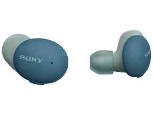 新品 SONY h.ear in 3 Truly Wireless WF-H800 (L) [ブルー] ワイヤレスイヤホン ソニー