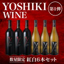 【送料無料】YOSHIKIのワイン！Y by YOSHIKI 紅白ワイン6本セット！