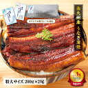 ★エントリーでポイント10倍★(期間:8/4(月)20:00~8/11(月) 1:59) 特大サイズ!南九州産うなぎ 長焼き200g 2尾 【自宅用】 食べ方説明書、タレ&山椒付き うなぎ うなぎ 国産 ギフト ウナギ 鰻 夏ギフト プレゼント 蒲焼き 土用の丑 グルメ 丑の日 国産 ギフト