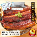 ★エントリーでポイント10倍★(期間:8/4(月)20:00~8/11(月) 1:59) 特大サイズ!南九州産うなぎ 長焼き200g(1尾~3尾)ギフト用もご用意!食べ方説明書、タレ&山椒付き うなぎ 国産 うなぎ ウナギ 鰻 夏ギフト プレゼント 蒲焼き 土用の丑 グルメ 丑の日 国産 ギフト