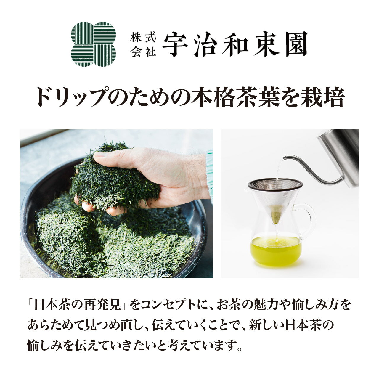 【山城物産】GGBT煎茶ハリオドリッパーギフトセット　(ほうじ茶・カモミール) 3