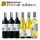 【送料無料】家飲みにおすすめ!!ハイコスパチリワイン「アロモ」赤白6本セット ★お手頃で美味しいハイコスパチリワイン「アロモ」の赤白ワイン6本セット★