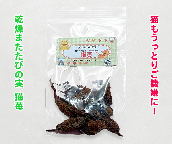 【超貴重】乾燥またたびの実 猫苺　　　10g　猫の夏バテに　国産またたび　ストレス解消 食欲不振 食欲増進 おもちゃ 猫のおもちゃ ゴロゴロ ご機嫌 マタタビ 【ネコポスOK】