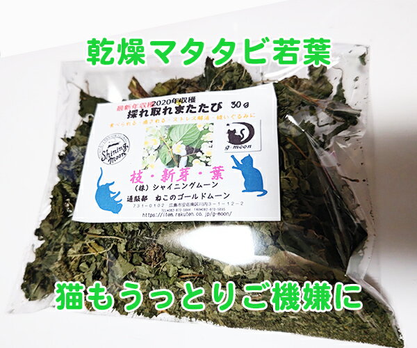 またたびドーナッツ ソフトタイプ 20g ｢ドギーマンハヤシ｣【合計8,800円以上で送料無料(一部地域を除く)】