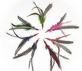 �����С���M3�籩���������������ڥ��� ����1���ڥͥ��ݥ�OK��6�ܤޤǡ�